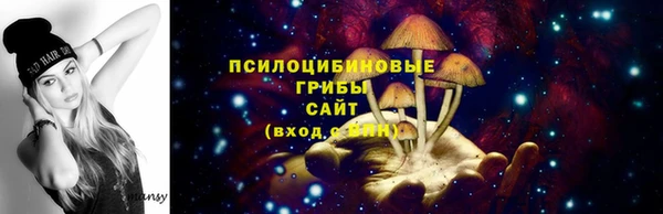 хмурый Михайлов