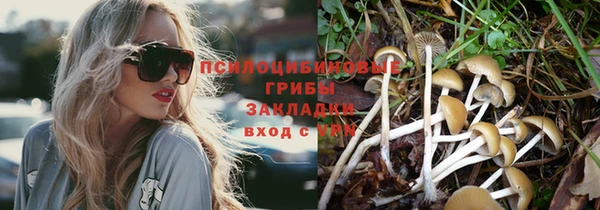 хмурый Михайлов