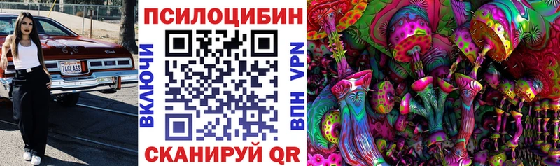 Псилоцибиновые грибы Psilocybe  Ильский 