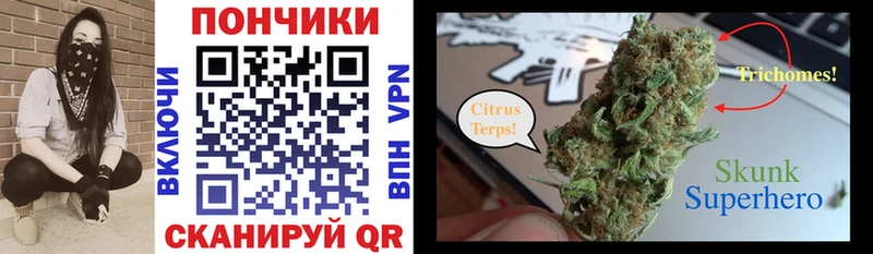 как найти   MEGA вход  Бошки Шишки Ganja  Ильский 